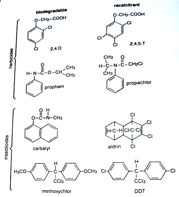 Structures of some biodegradable and recalcitrant pesticides.